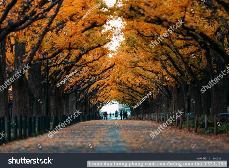 Tranh dán tường phong cảnh hồ thác, cây cối T321-490